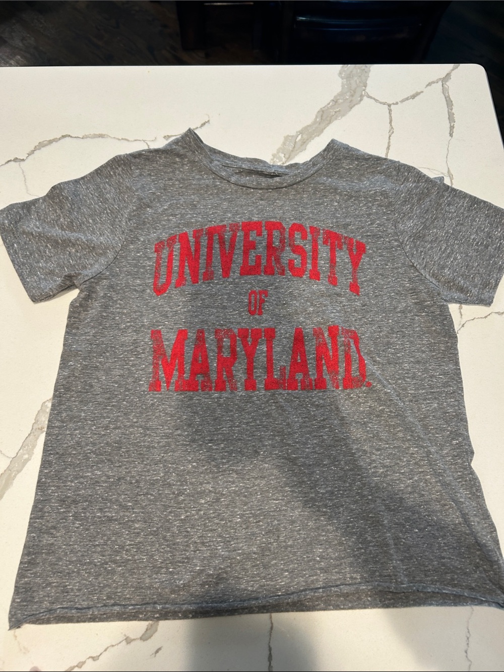New Retro Brand University of Maryland Gray Red Soft T-Shirt XS